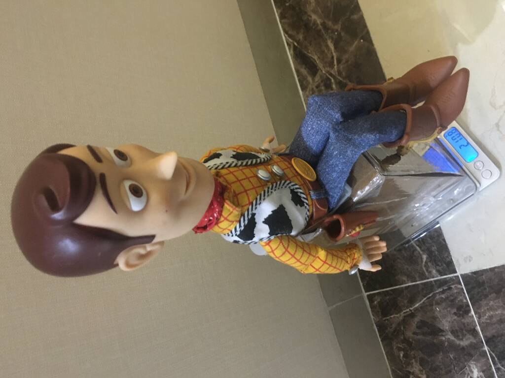 Woody-02.JPG