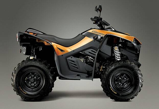 kingcobra500-03.jpg