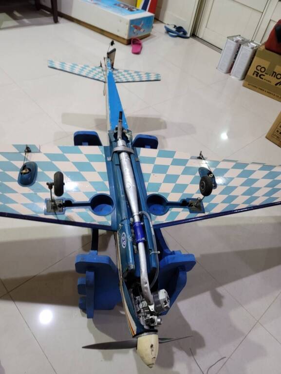 295580.jpg