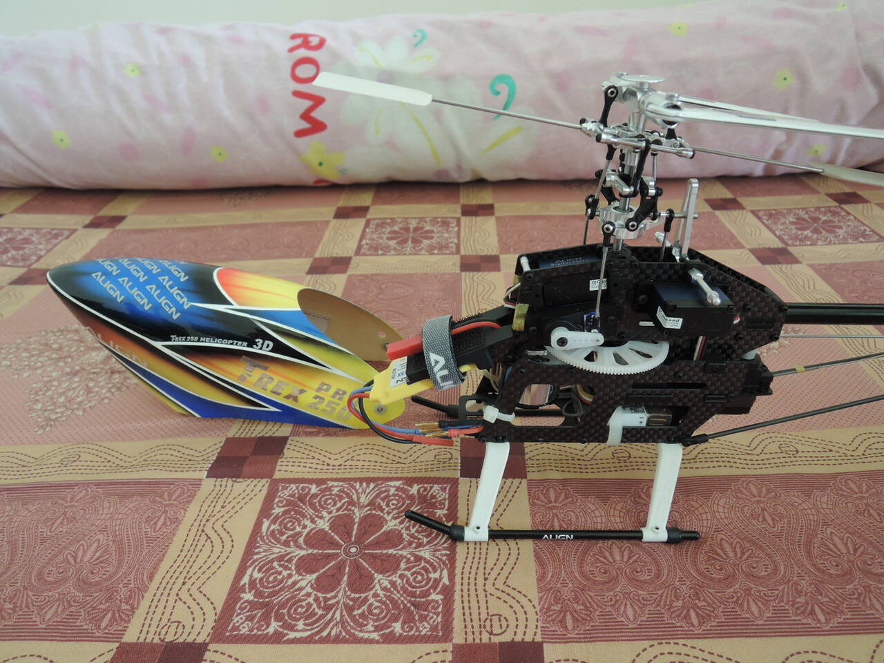 DSCN0522.JPG