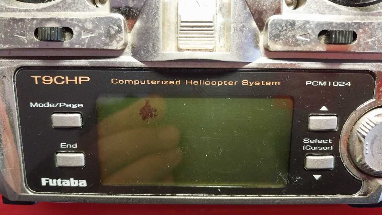 1000006075.jpg