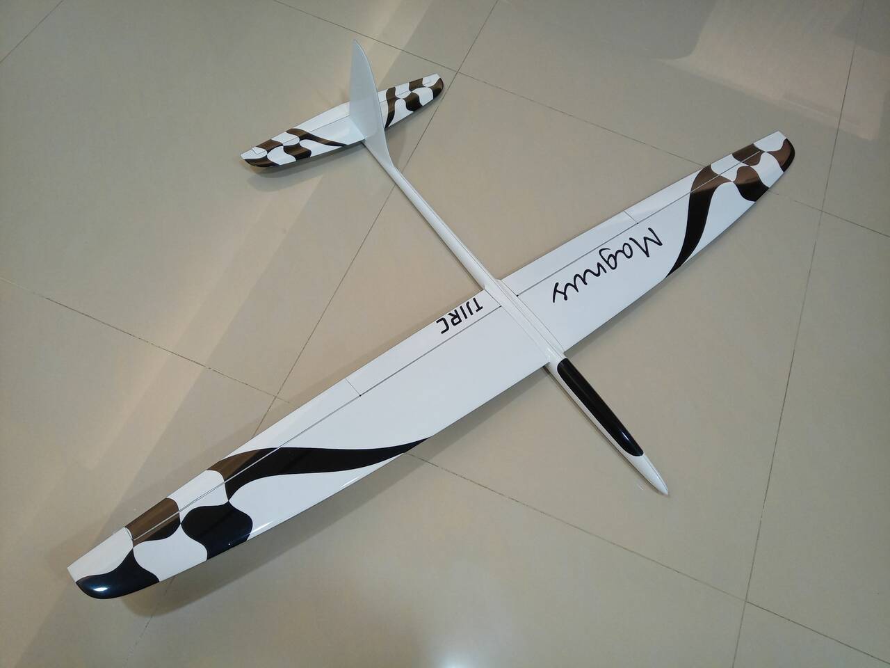 751672.jpg