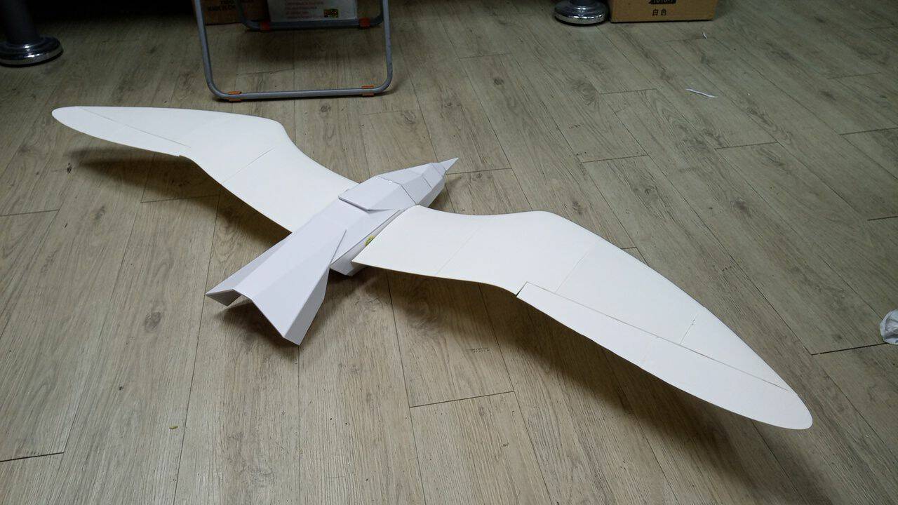 784195.jpg