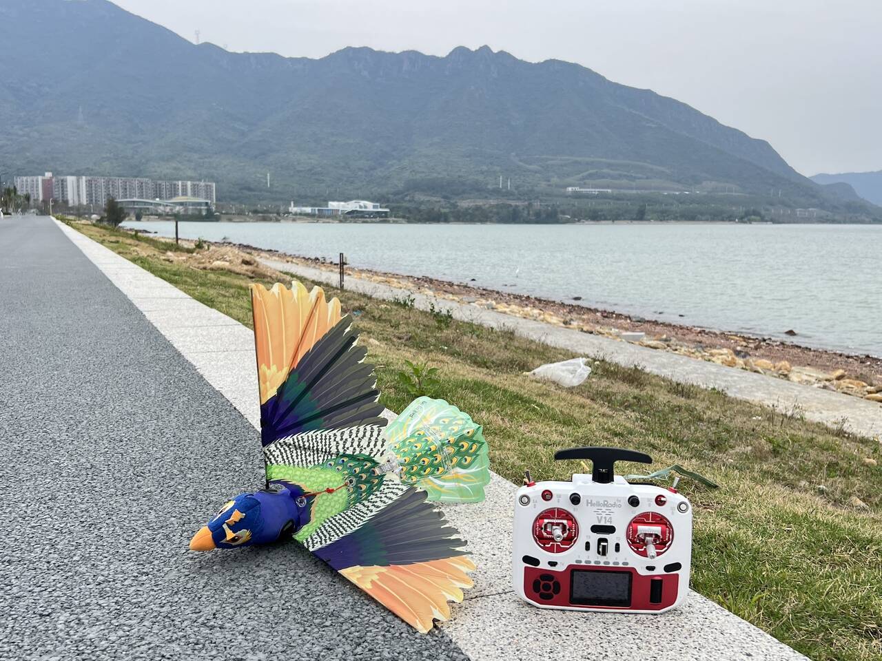 Gogobird1020-03.jpeg