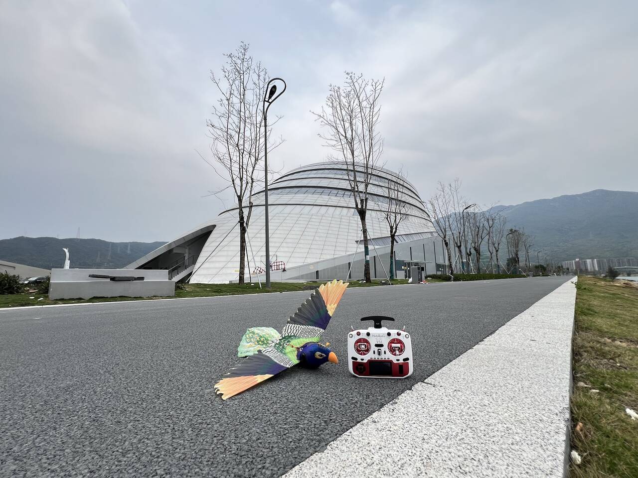 Gogobird1020-04.jpeg