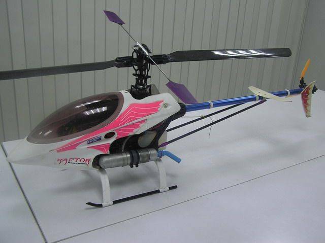 RAPTOR_30