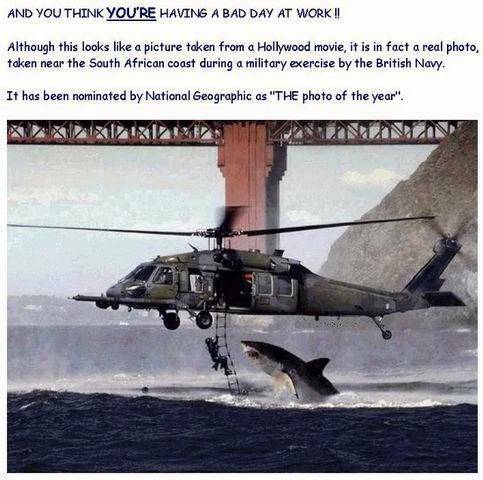 CA4XUB8P.jpg