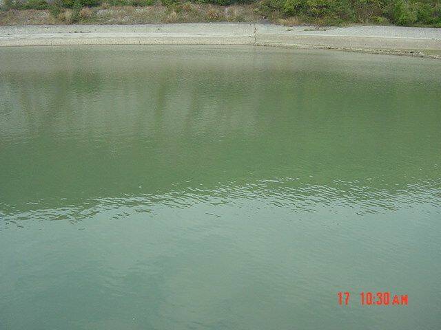 DSC00003.JPG