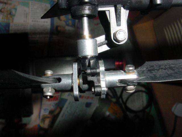DSC00005.JPG