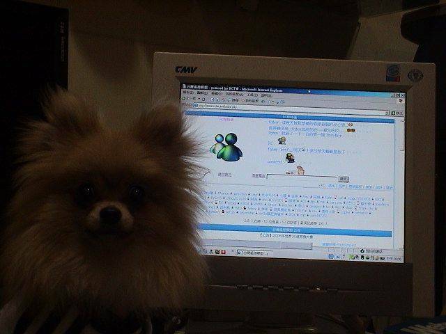 DSC00016.JPG