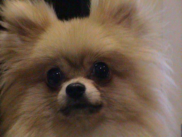 DSC00017.JPG