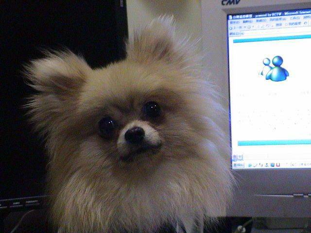 DSC00023.JPG
