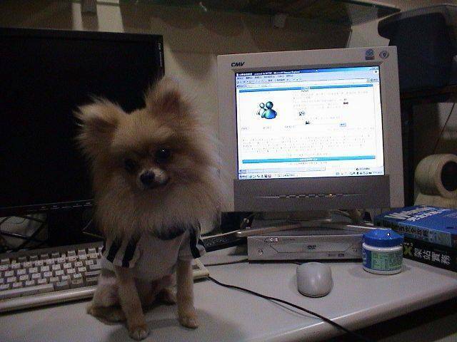 DSC00029.JPG
