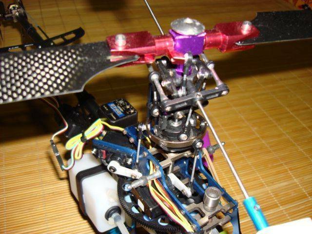 DSC00051.JPG