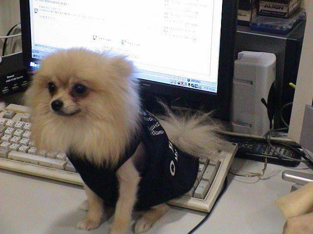 DSC00068.JPG