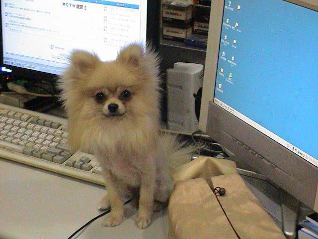 DSC00072.JPG