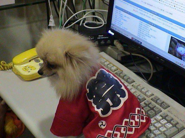 DSC00073.JPG