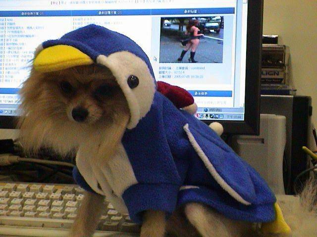 DSC00078.JPG