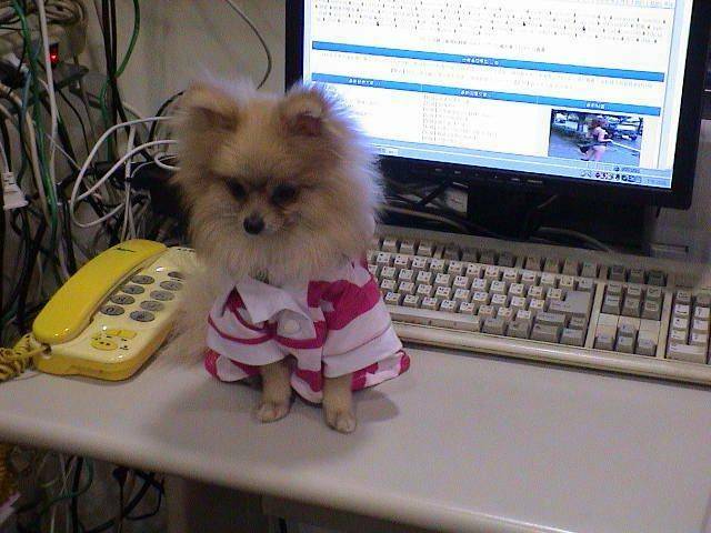 DSC00084.JPG