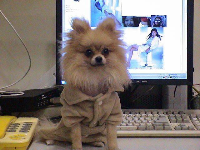 DSC00088.JPG