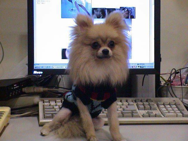 DSC00091.JPG