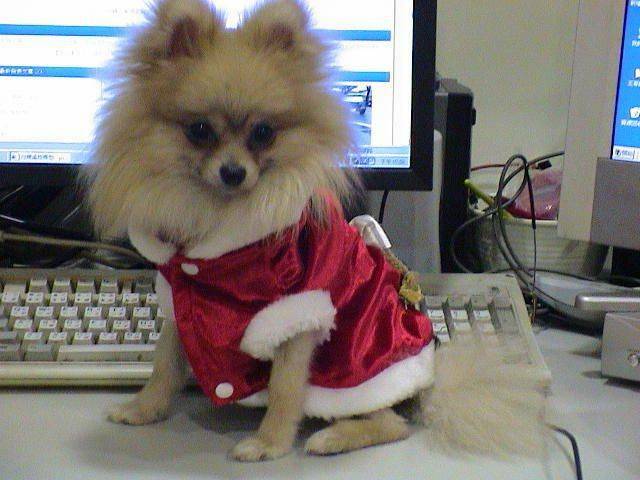 DSC00095.JPG