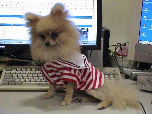 DSC00096.JPG