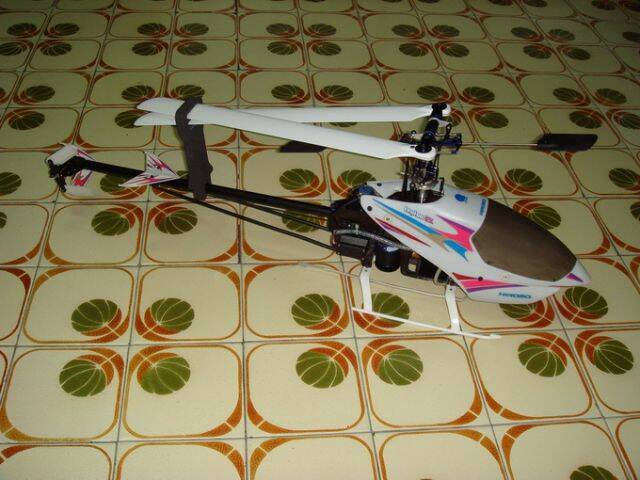 DSC00169-1.jpg