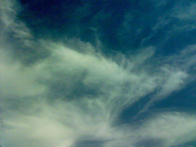DSC00308.JPG