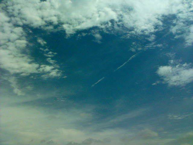 DSC00313.JPG