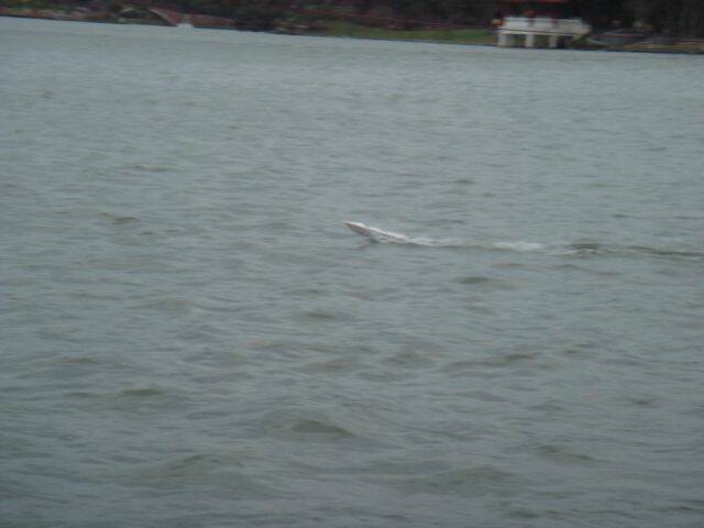 DSC00322.JPG
