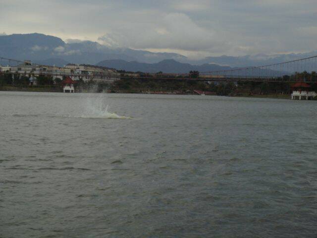 DSC00332.JPG