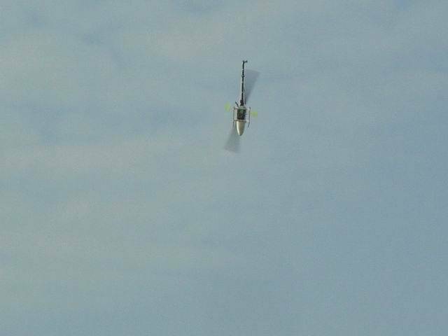 DSC003521.jpg