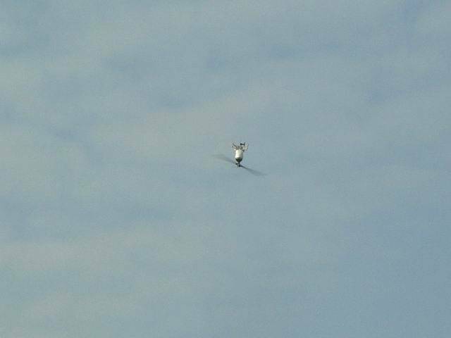 DSC003531.jpg