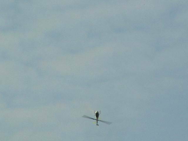 DSC003541.jpg