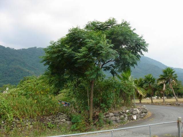 DSC00364-1.jpg