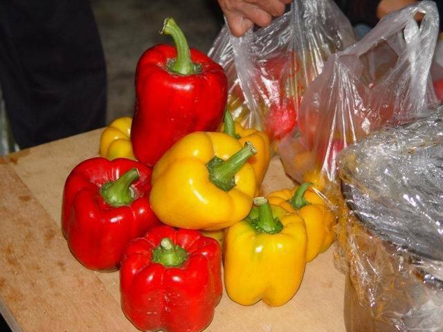 DSC004051.jpg