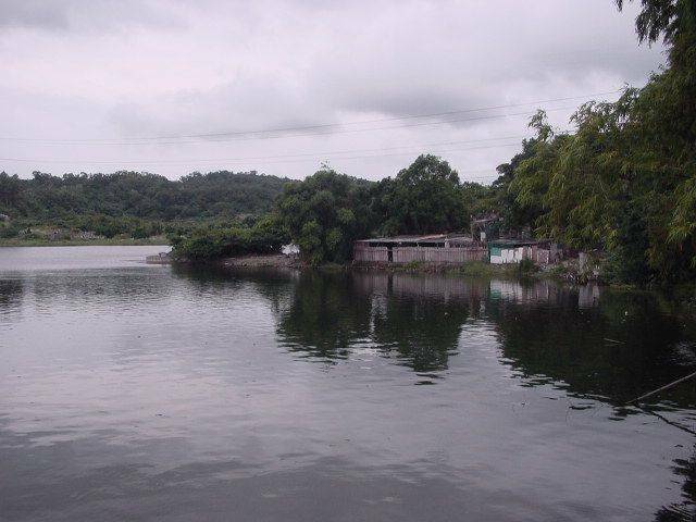 DSC00474.jpg