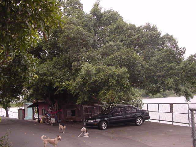 DSC00476.jpg