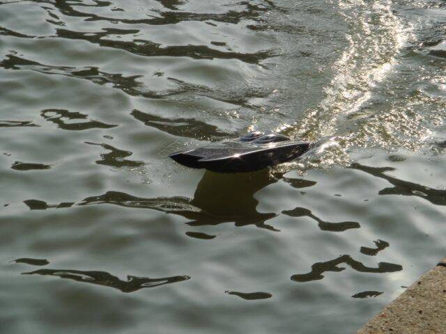 DSC00503.JPG