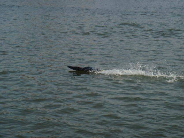 DSC00504.JPG