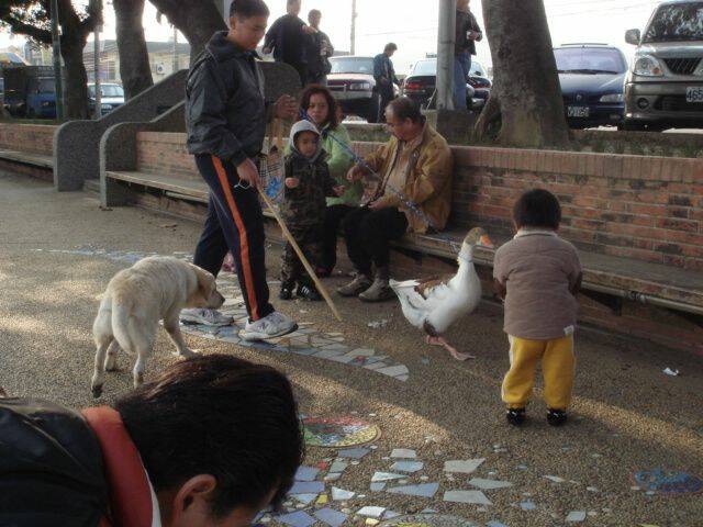 準備偷襲