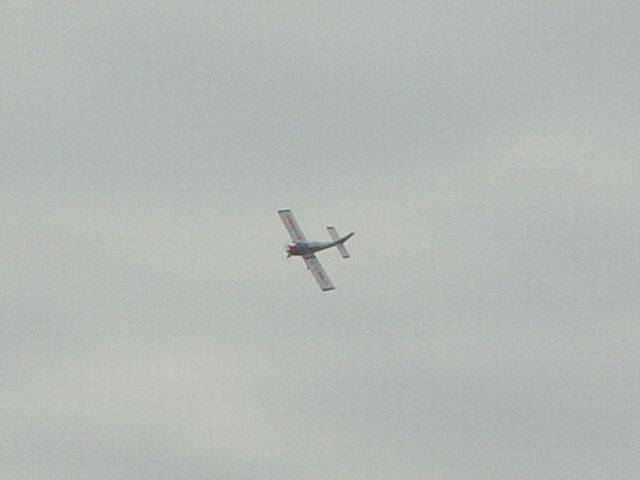 DSC006481.jpg