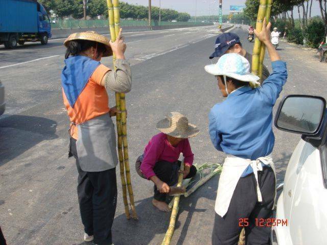 DSC00778.JPG