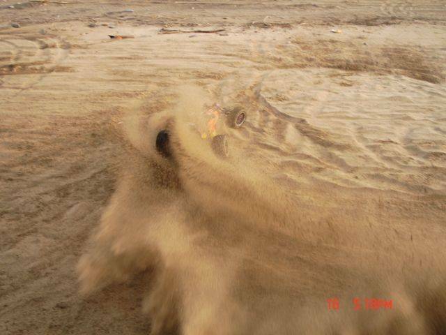 DSC01651.JPG