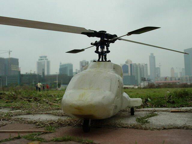 DSC01679A.jpg