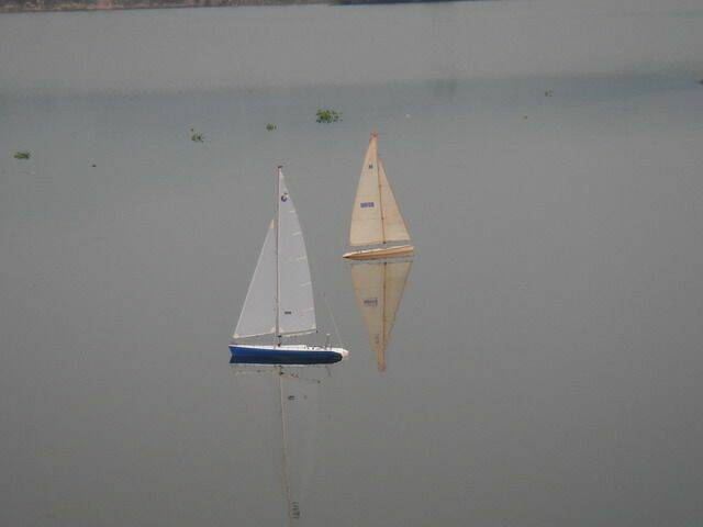 DSC02554-1.jpg