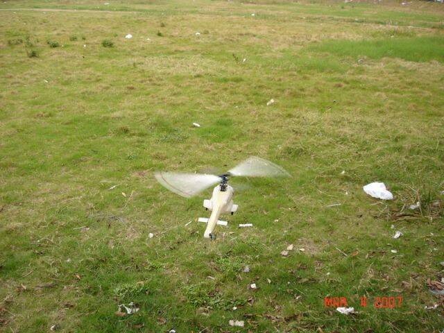 DSC02677a.jpg