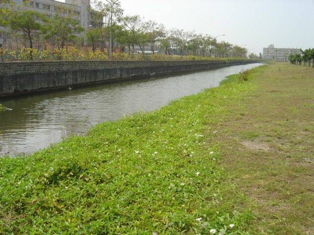 DSC02993.JPG