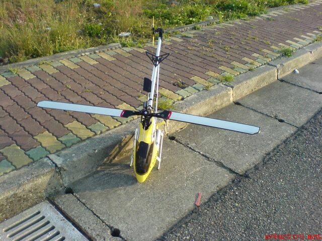 DSC03558.JPG